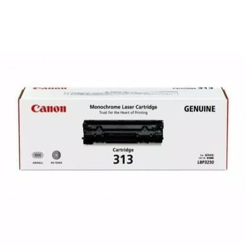 Canon 313